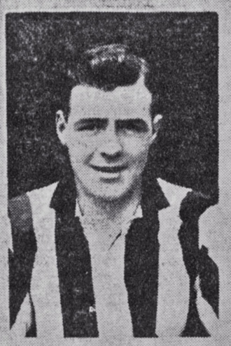 David  Bell  